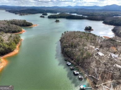 WHIMSICAL BLUE RIDGE LAKEFRONT COTTAGE! Nestled in the heart of - photo 38