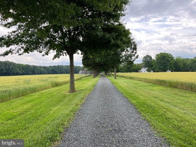 Welcome to Bayside Road. Residents of Leonardtown believe this - photo 4