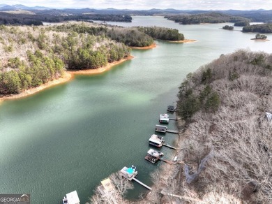 WHIMSICAL BLUE RIDGE LAKEFRONT COTTAGE! Nestled in the heart of - photo 47