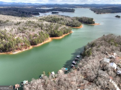 WHIMSICAL BLUE RIDGE LAKEFRONT COTTAGE! Nestled in the heart of - photo 48