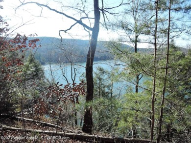 Lake Lot Sale Pending in Double Springs, Alabama