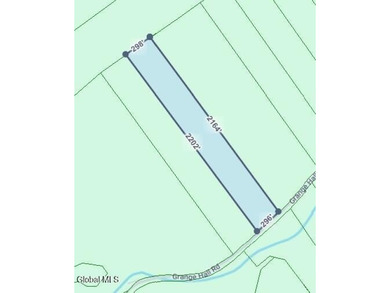 31.34 surveyed acres on Grange Hall Road in Franklin, NY - photo 11
