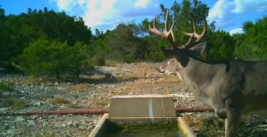 (private lake, pond, coastal) Acreage For Sale in Barksdale Texas