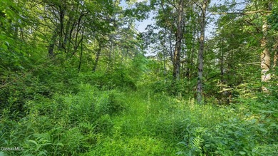 31.34 surveyed acres on Grange Hall Road in Franklin, NY - photo 13