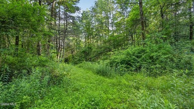 31.34 surveyed acres on Grange Hall Road in Franklin, NY - photo 14