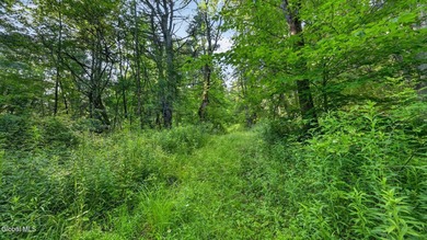31.34 surveyed acres on Grange Hall Road in Franklin, NY - photo 15