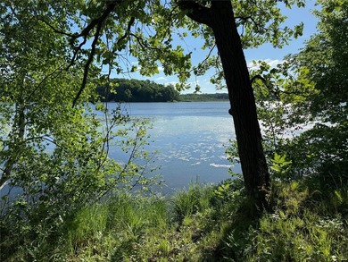 Bashaw Lake Retreat/ Investment Property - 4 separate buildable - photo 15
