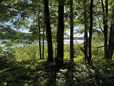 Bashaw Lake Retreat/ Investment Property - 4 separate buildable - photo 16