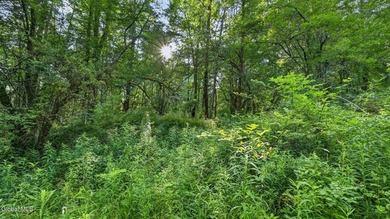 31.34 surveyed acres on Grange Hall Road in Franklin, NY - photo 17