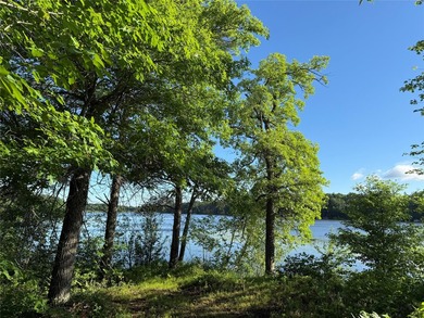 Bashaw Lake Retreat/ Investment Property - 4 separate buildable - photo 18