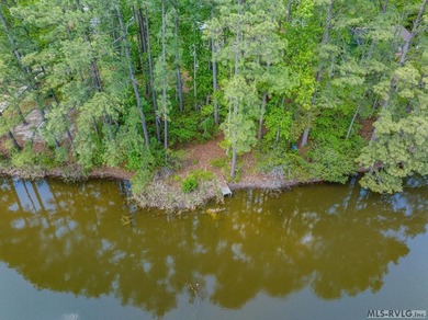 Calling Lake Gaston Dreamers:! Bring your creativity for this - photo 18