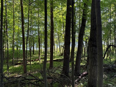 Bashaw Lake Retreat/ Investment Property - 4 separate buildable - photo 19
