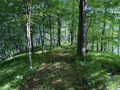 Bashaw Lake Retreat/ Investment Property - 4 separate buildable - photo 20
