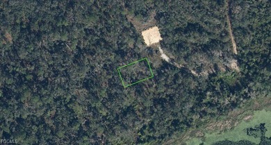 Lake Josephine Lot For Sale in Sebring Florida