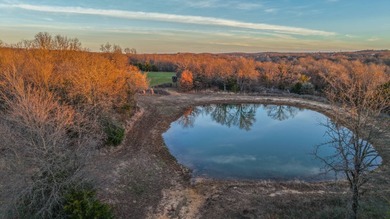 (private lake, pond, creek) Acreage For Sale in Shamrock Oklahoma