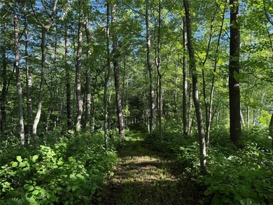 Bashaw Lake Retreat/ Investment Property - 4 separate buildable - photo 21