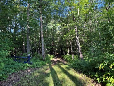 Bashaw Lake Retreat/ Investment Property - 4 separate buildable - photo 22