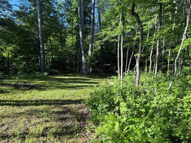 Bashaw Lake Retreat/ Investment Property - 4 separate buildable - photo 23