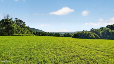 31.34 surveyed acres on Grange Hall Road in Franklin, NY - photo 24