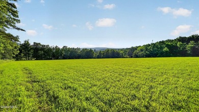 31.34 surveyed acres on Grange Hall Road in Franklin, NY - photo 27
