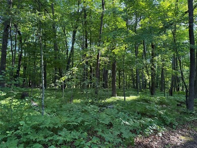 Bashaw Lake Retreat/ Investment Property - 4 separate buildable - photo 27