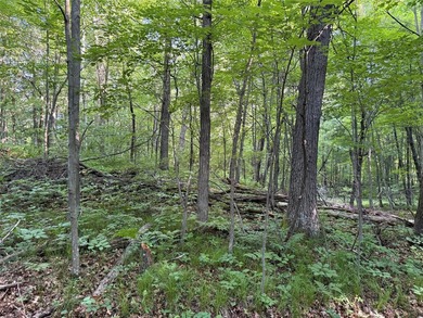 Bashaw Lake Retreat/ Investment Property - 4 separate buildable - photo 28