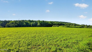 31.34 surveyed acres on Grange Hall Road in Franklin, NY - photo 29