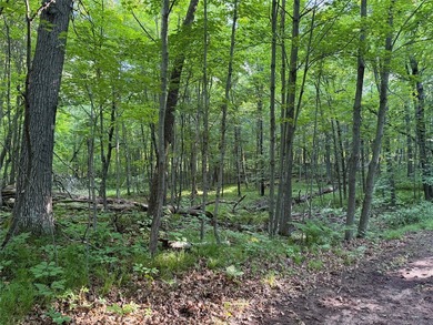Bashaw Lake Retreat/ Investment Property - 4 separate buildable - photo 29