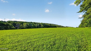 31.34 surveyed acres on Grange Hall Road in Franklin, NY - photo 30