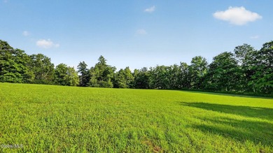 31.34 surveyed acres on Grange Hall Road in Franklin, NY - photo 31