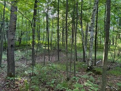 Bashaw Lake Retreat/ Investment Property - 4 separate buildable - photo 31