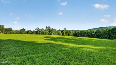 31.34 surveyed acres on Grange Hall Road in Franklin, NY - photo 32