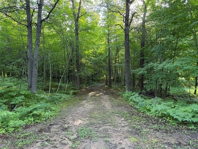 Bashaw Lake Retreat/ Investment Property - 4 separate buildable - photo 32