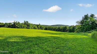 31.34 surveyed acres on Grange Hall Road in Franklin, NY - photo 33
