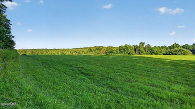 31.34 surveyed acres on Grange Hall Road in Franklin, NY - photo 35
