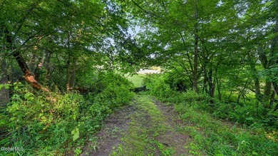 31.34 surveyed acres on Grange Hall Road in Franklin, NY - photo 36