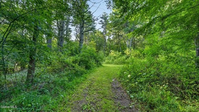 31.34 surveyed acres on Grange Hall Road in Franklin, NY - photo 39