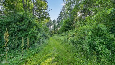 31.34 surveyed acres on Grange Hall Road in Franklin, NY - photo 40