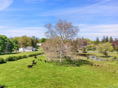 WOLSEY FARM. One of Bedford's most iconic estate - photo 40