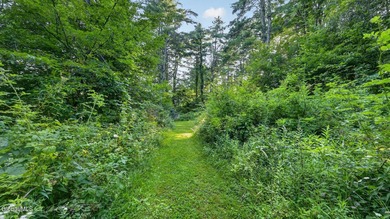 31.34 surveyed acres on Grange Hall Road in Franklin, NY - photo 41