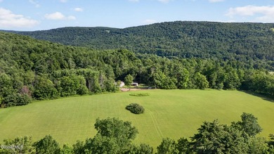 31.34 surveyed acres on Grange Hall Road in Franklin, NY - photo 42