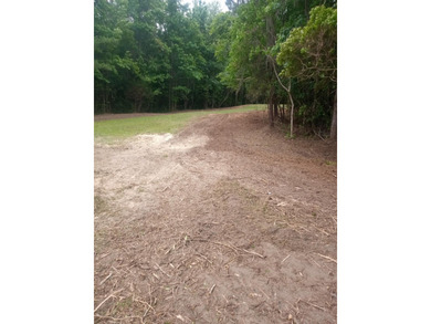 Welcome to Coastal Elegance on Winyah Bay Nestled along the - photo 4