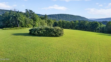 31.34 surveyed acres on Grange Hall Road in Franklin, NY - photo 44