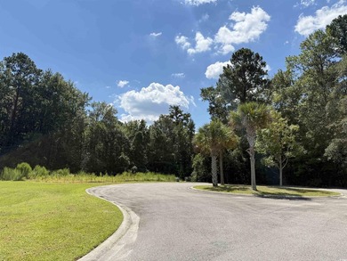Welcome to Coastal Elegance on Winyah Bay Nestled along the - photo 5