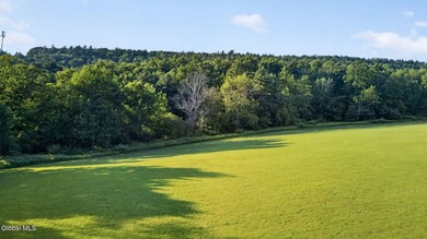 31.34 surveyed acres on Grange Hall Road in Franklin, NY - photo 45