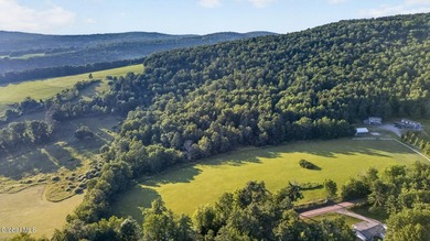 31.34 surveyed acres on Grange Hall Road in Franklin, NY - photo 47