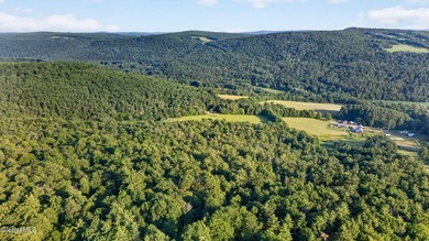31.34 surveyed acres on Grange Hall Road in Franklin, NY - photo 49