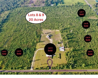 Dead Lake Acreage For Sale in Wewahitchka Florida