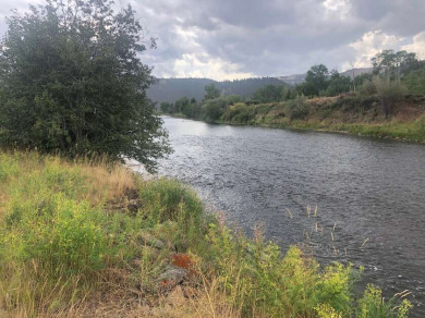 Clark Fork River - Powell County  Lot For Sale in Garrison Montana