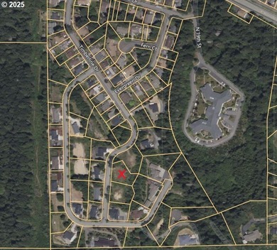 Surrounded by towering trees and quality custom homes, this - photo 7